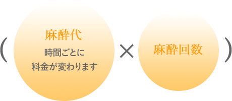 麻酔代（時間ごとに料金が変わります）×麻酔回数